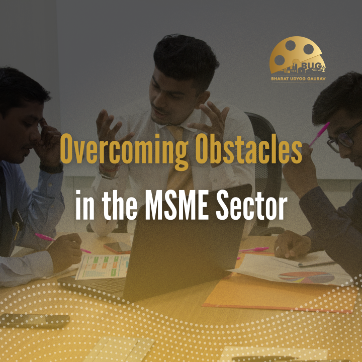 OVERCOMING OBSTACLES IN THE MSME SECTOR – BUG SOLUTIONS